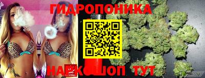 гидропоника Партизанск
