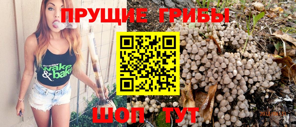 Псилоцибиновые грибы Magic Shrooms Родники