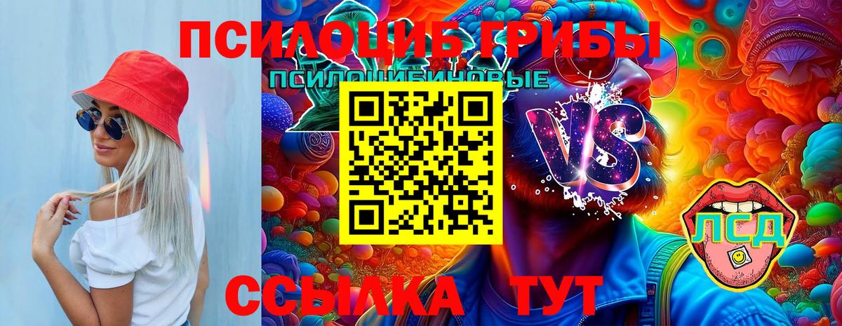 Псилоцибиновые грибы мухоморы  сколько стоит  Псилоцибиновые грибы Psilocybe  Родники  Вход с VPN 